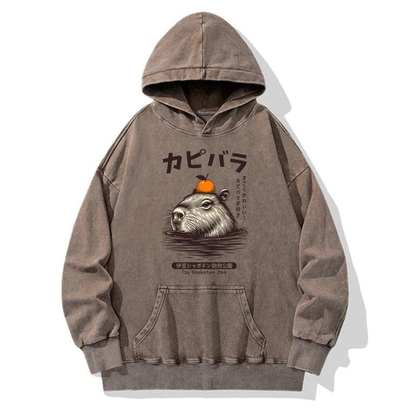Capybara Hot Spring Washed Hoodie