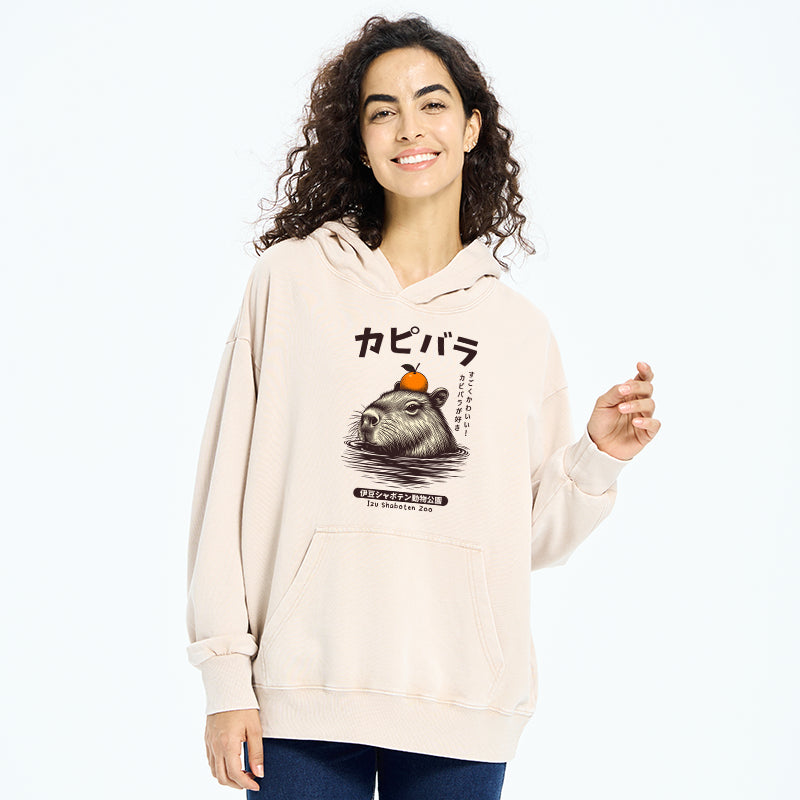 Capybara Hot Spring Washed Hoodie