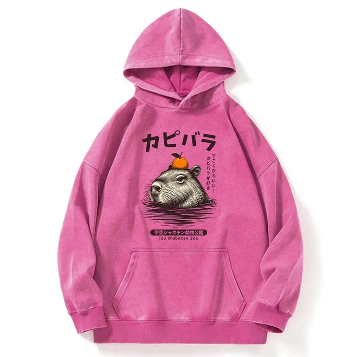Capybara Hot Spring Washed Hoodie