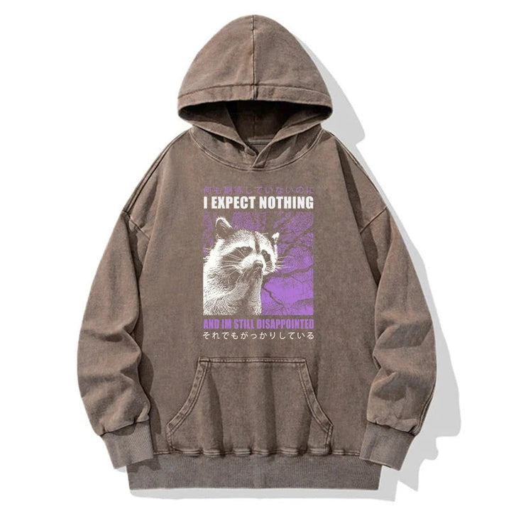 Disappointed Raccoon Japanese Washed Hoodie