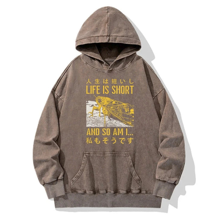 A Grasshopper With A Short Life Washed Hoodie