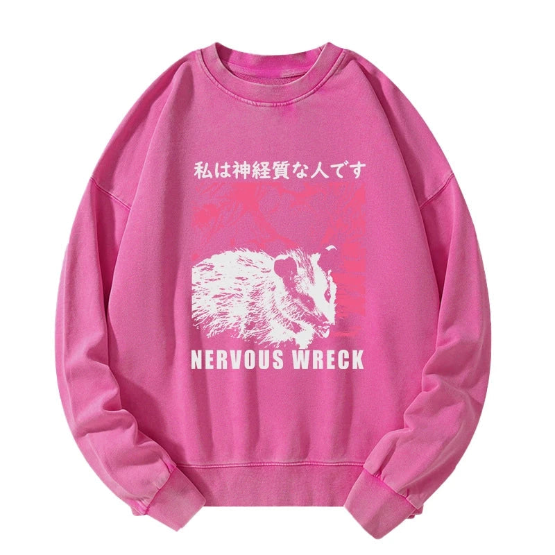 Nervous Wreck Washed Sweatshirt