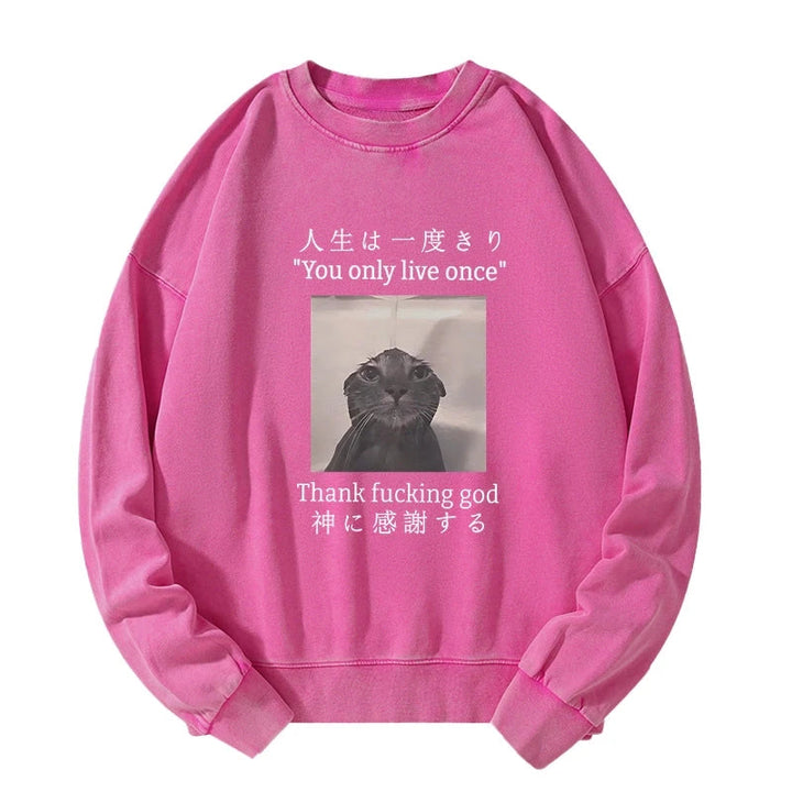 Funny Melancholy Cat Washed Sweatshirt