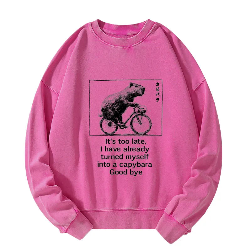Funny Capybara Riding A Bicycle Washed Sweatshirt