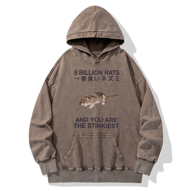 World's Stinkiest Rat Washed Hoodie
