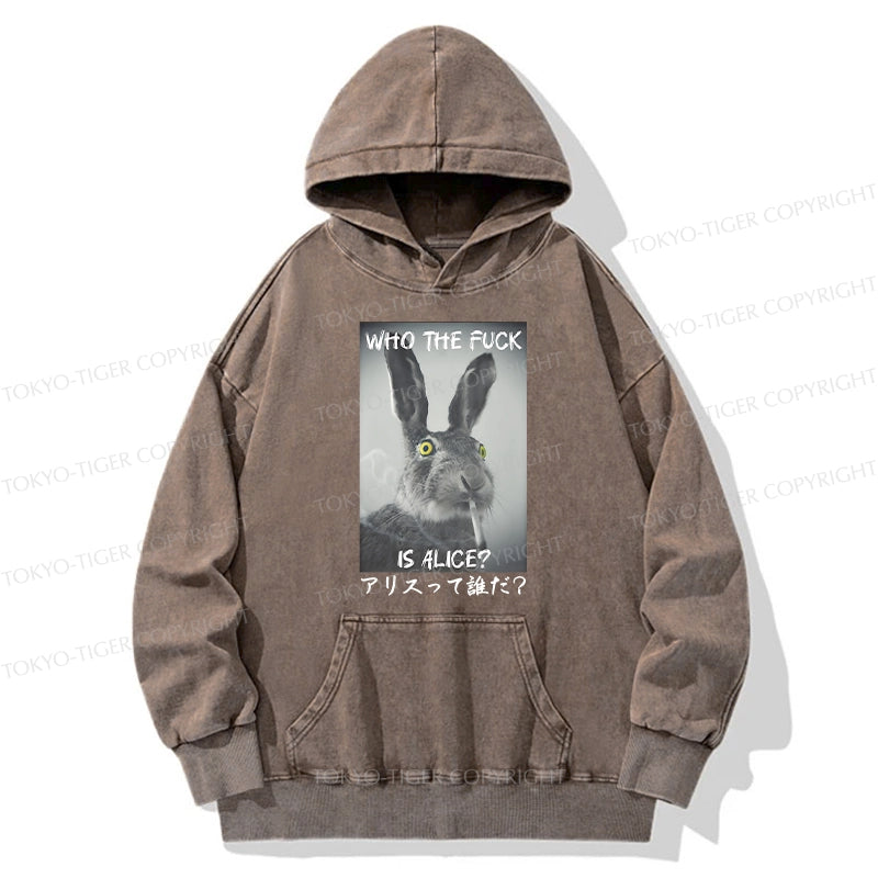 Who Is Alice? Washed Hoodie