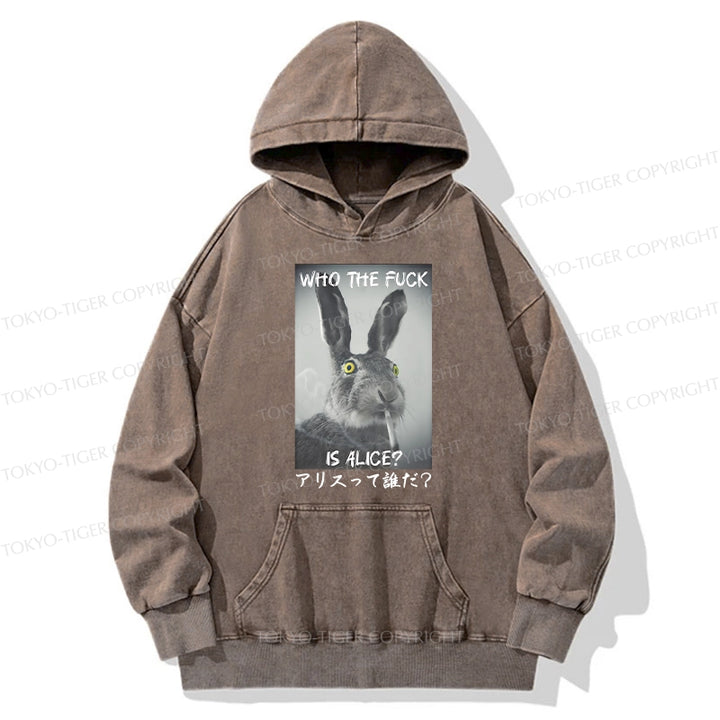 Who Is Alice? Washed Hoodie