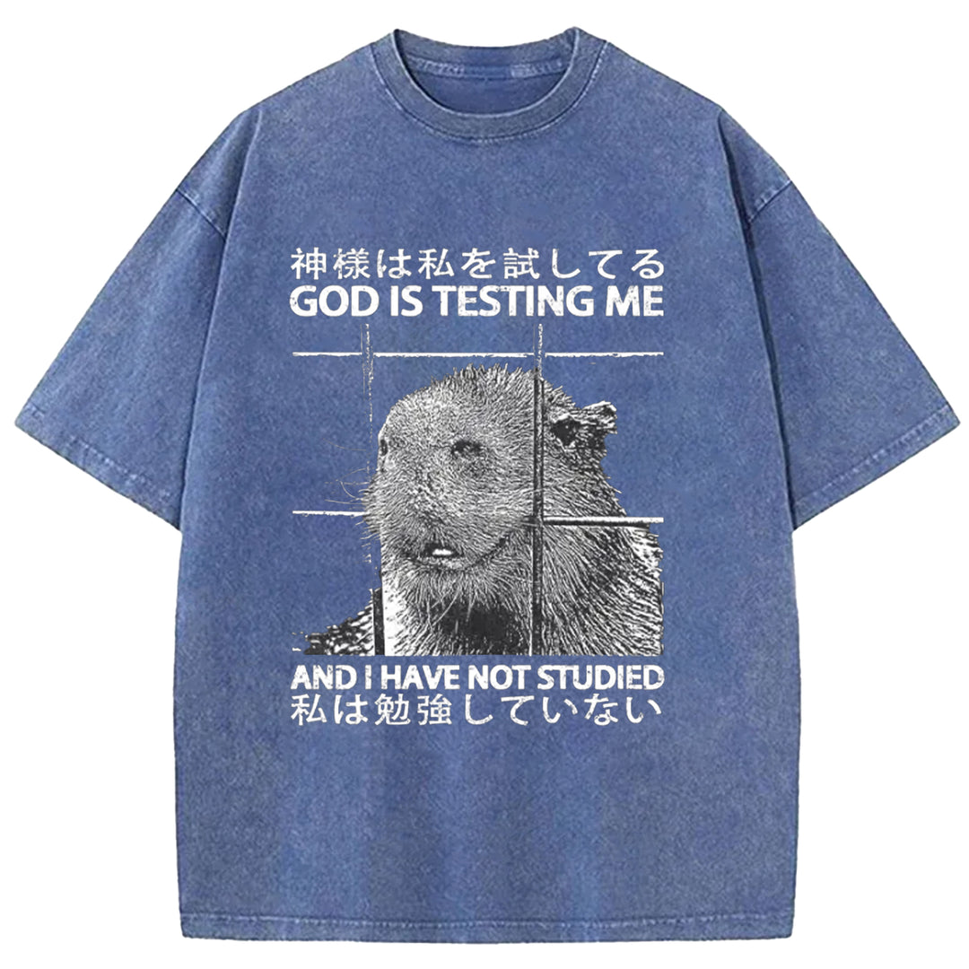 GOD IS TESTING  ME Washed Crew Neck T-shirt