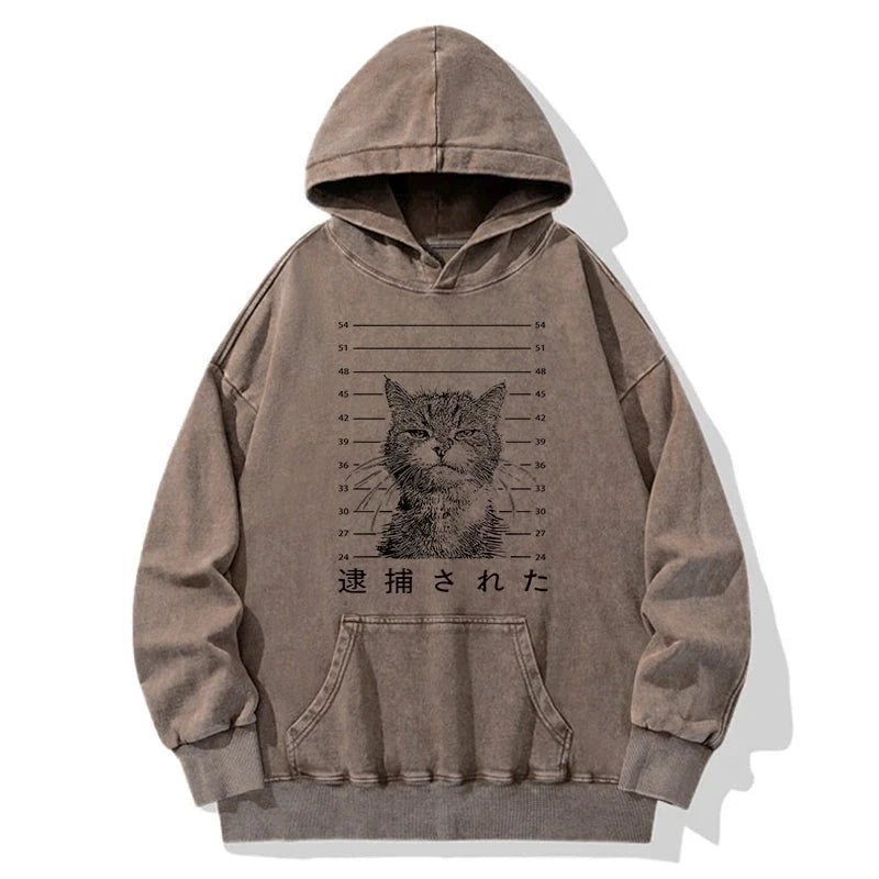 Cat That Was Arrested Washed Hoodie