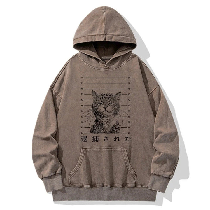 Cat That Was Arrested Washed Hoodie