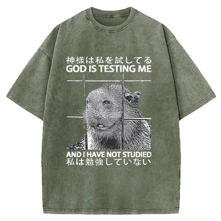 GOD IS TESTING  ME Washed Crew Neck T-shirt