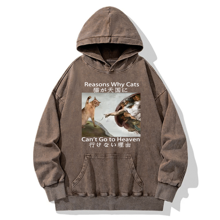 Naughty Cat Can't Go To Heaven Washed Hoodie