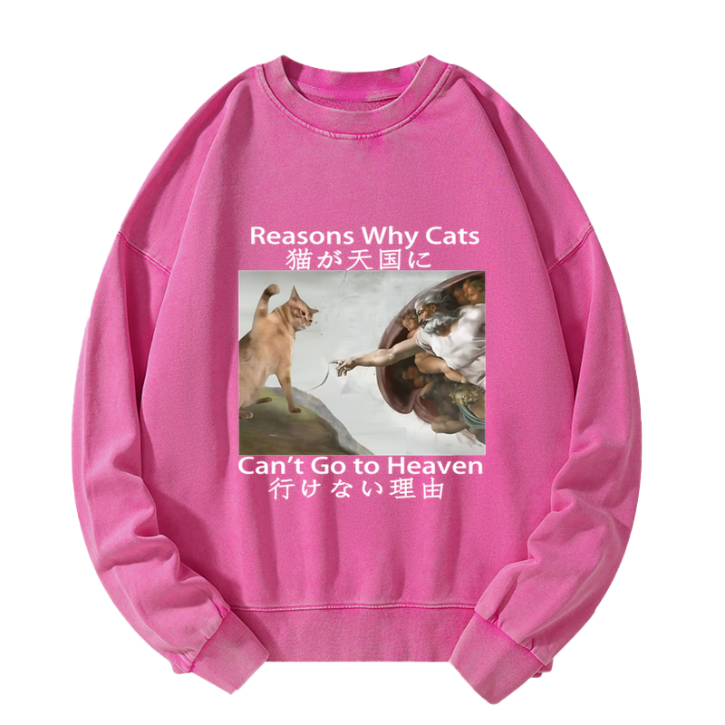 Naughty Cat Can't Go To Heaven Washed Sweatshirt