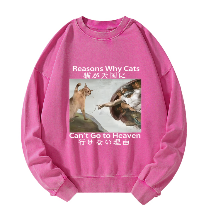 Naughty Cat Can't Go To Heaven Washed Sweatshirt
