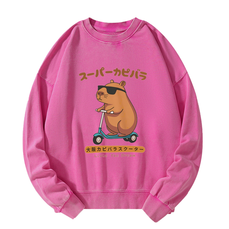 Osaka Capybara Scooter Washed Sweatshirt