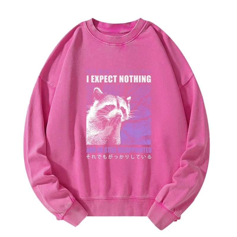 Disappointed Raccoon Japanese Washed Sweatshirt