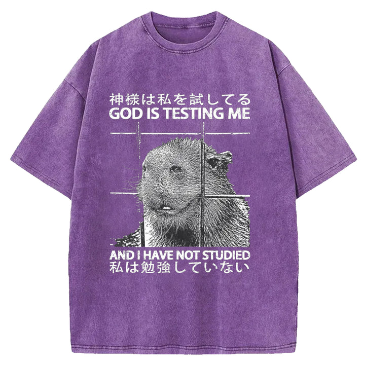 GOD IS TESTING  ME Washed Crew Neck T-shirt