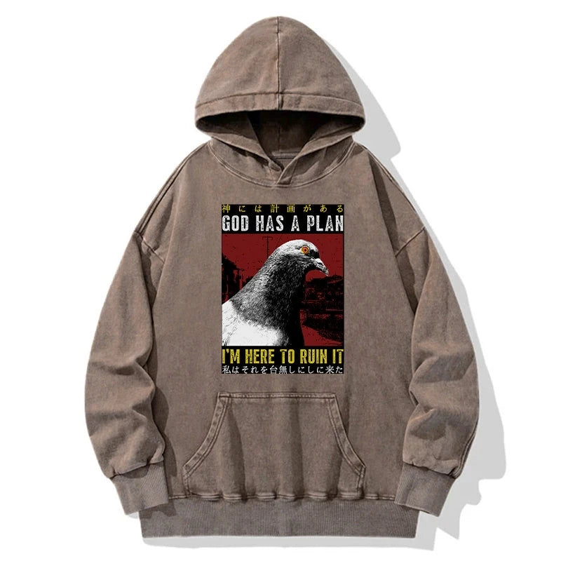Pigeons That Want To Break The Plan Washed Hoodie