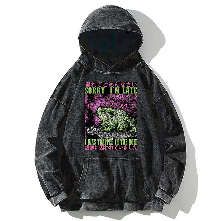 Frogs Trapped In The Void Washed Hoodie