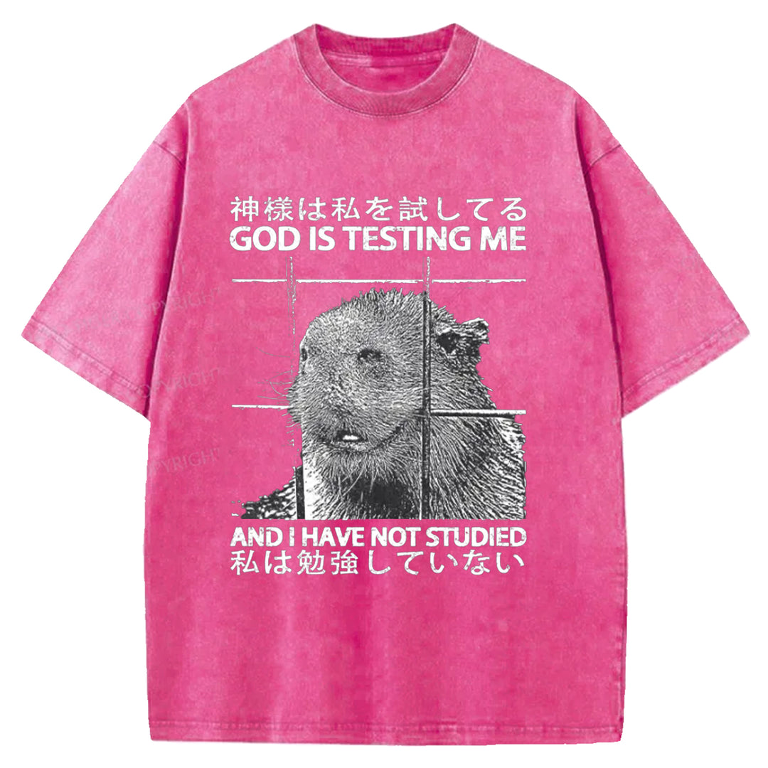 GOD IS TESTING  ME Washed Crew Neck T-shirt