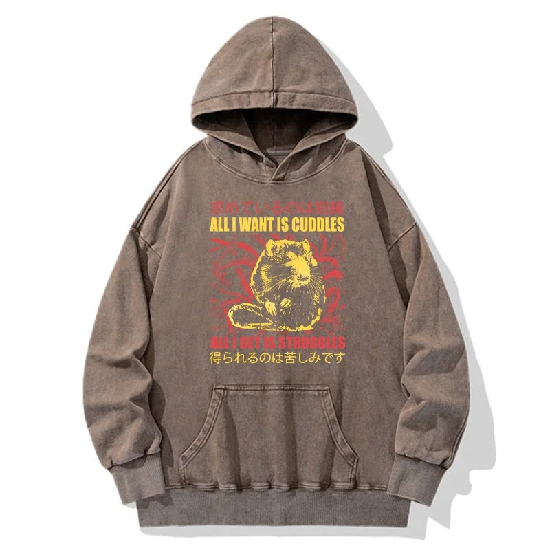 All I Want Is Cuddles Washed Hoodie