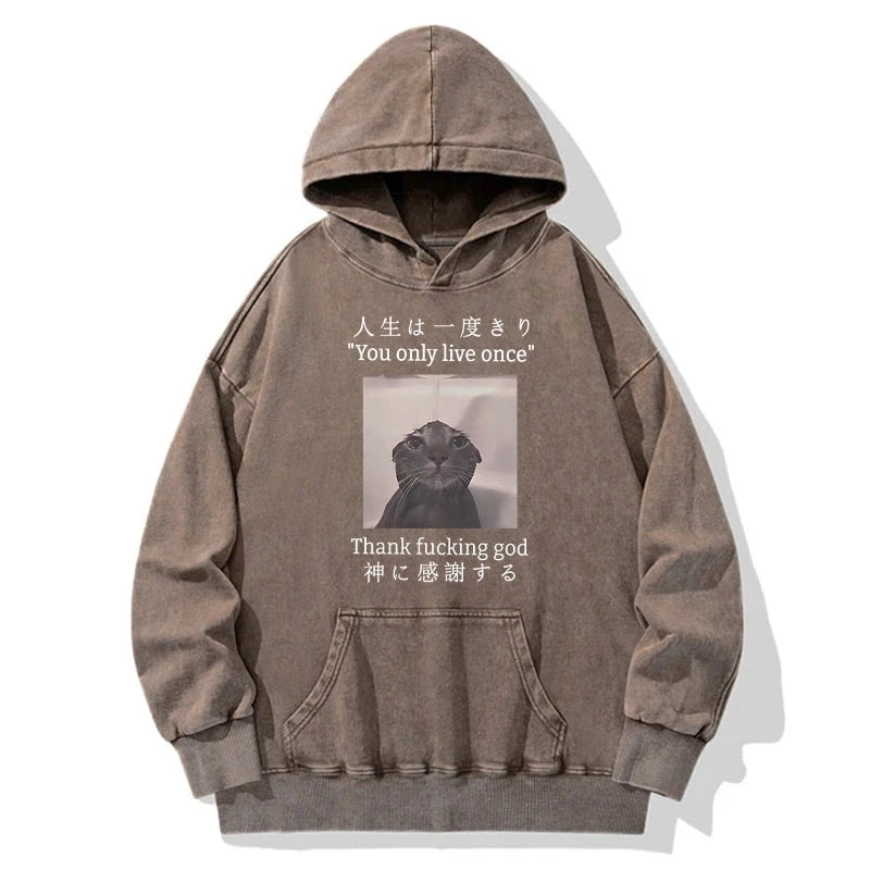 Funny Melancholy Cat Washed Hoodie
