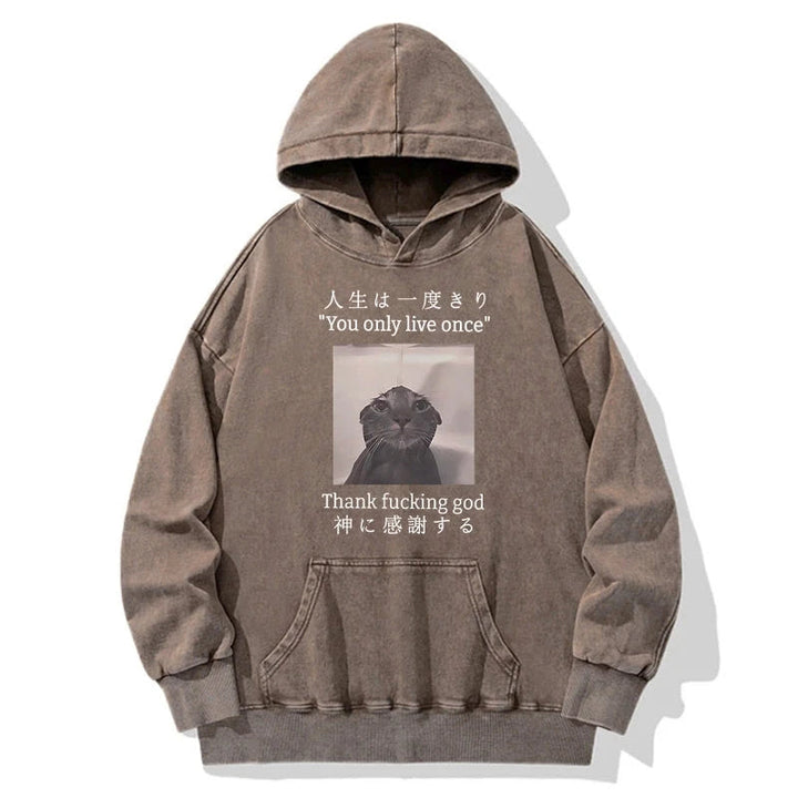 Funny Melancholy Cat Washed Hoodie