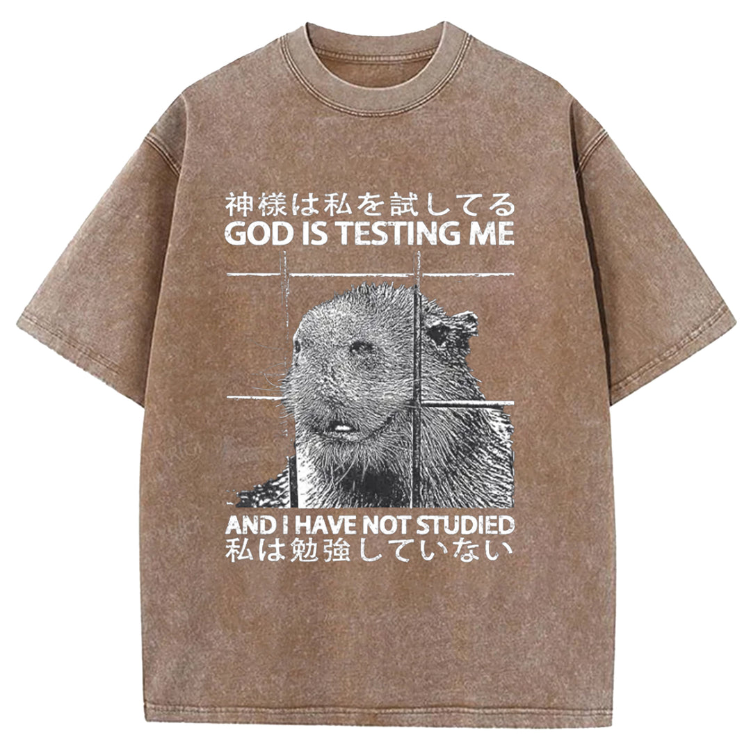 GOD IS TESTING  ME Washed Crew Neck T-shirt