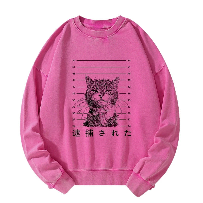 Cat That Was Arrested Washed Sweatshirt