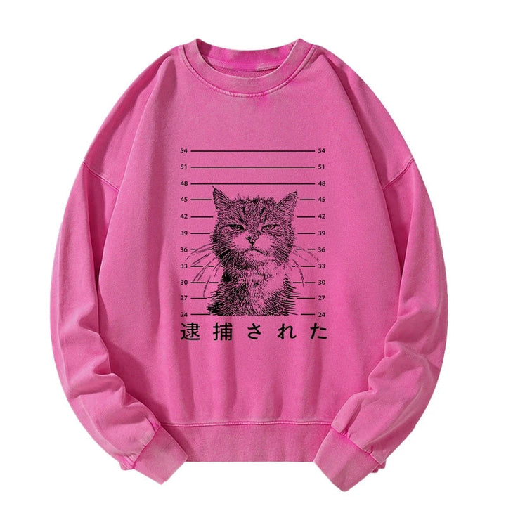 Cat That Was Arrested Washed Sweatshirt