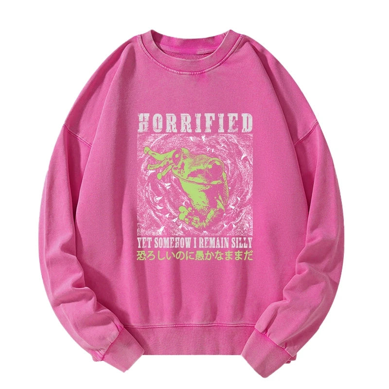 Silly Frog Japanese Washed Sweatshirt