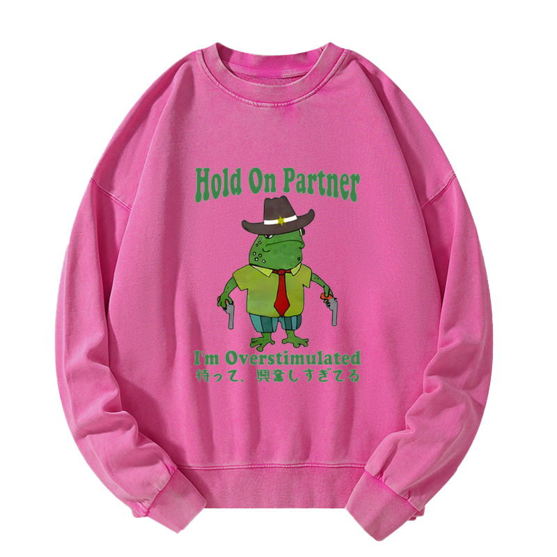 Wait I'm Too Excited Washed Sweatshirt