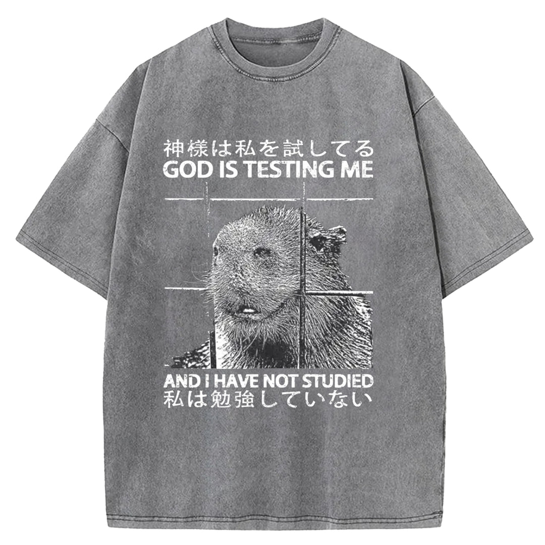 GOD IS TESTING  ME Washed Crew Neck T-shirt