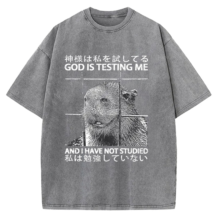 GOD IS TESTING  ME Washed Crew Neck T-shirt