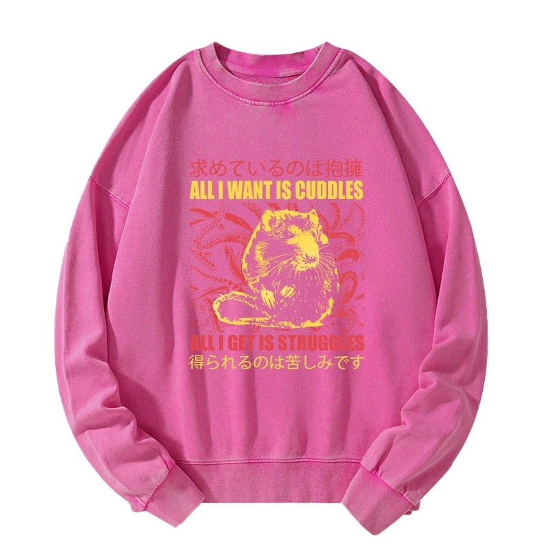 All I Want Is Cuddles Washed Sweatshirt