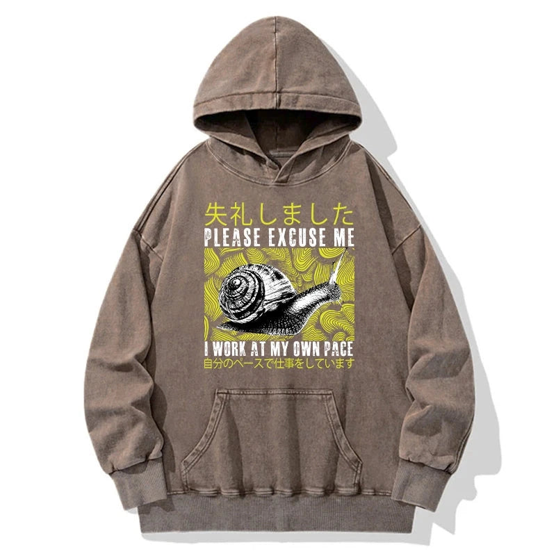 Snails That Work According To Their Own Rules Washed Hoodie