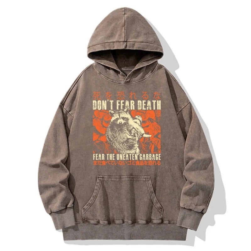 Timid Raccoon Japanese Washed Hoodie