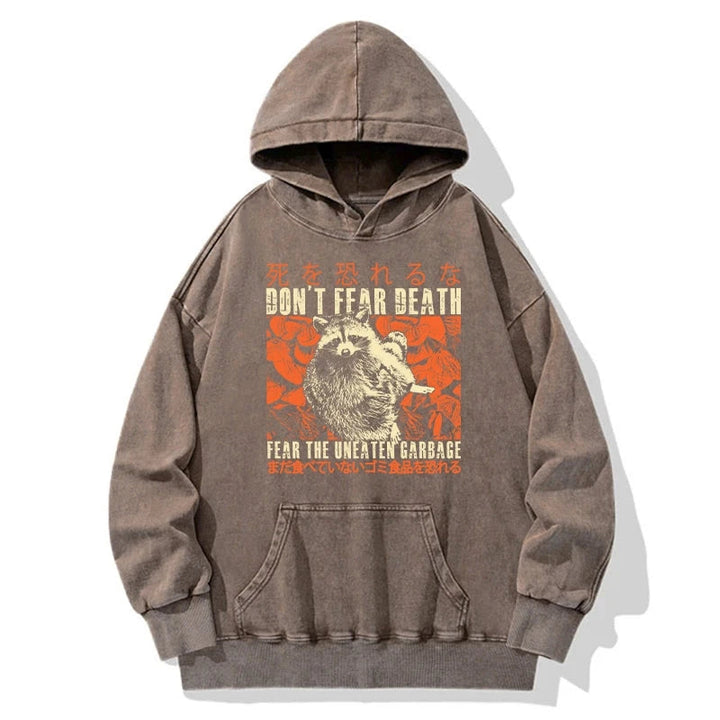 Timid Raccoon Japanese Washed Hoodie