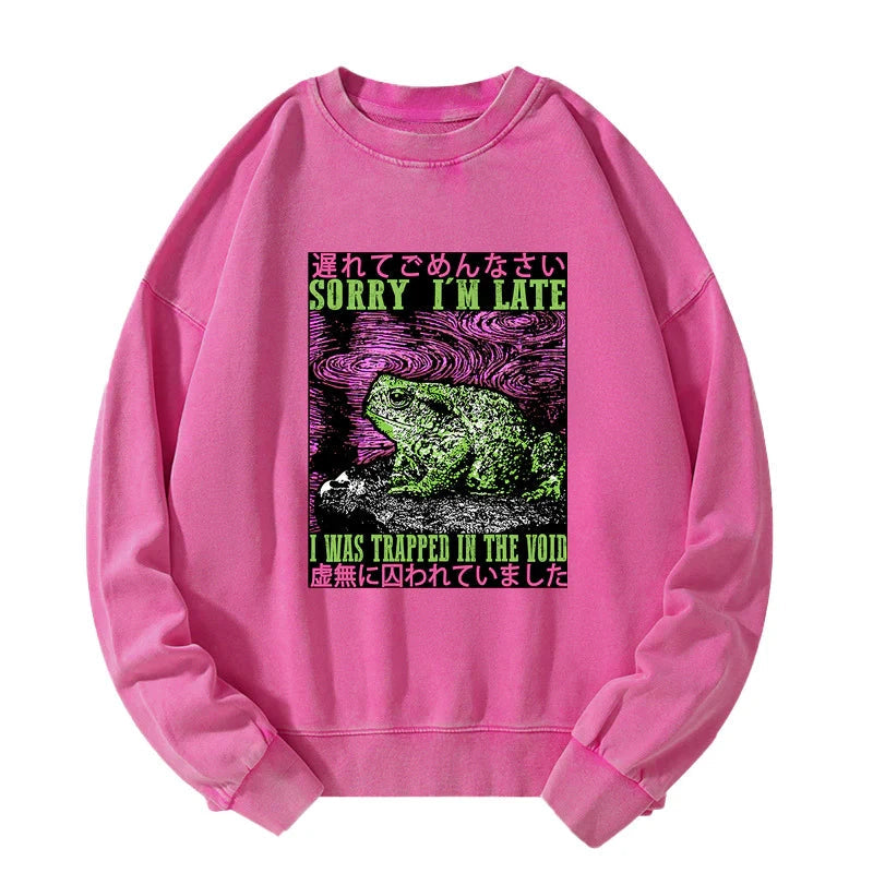Frogs Trapped In The Void Washed Sweatshirt