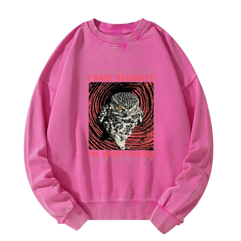I Have Stability Owl Washed Sweatshirt