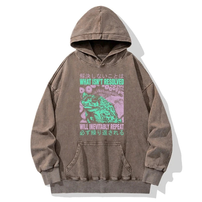What Ist Resolved Forg Washed Hoodie