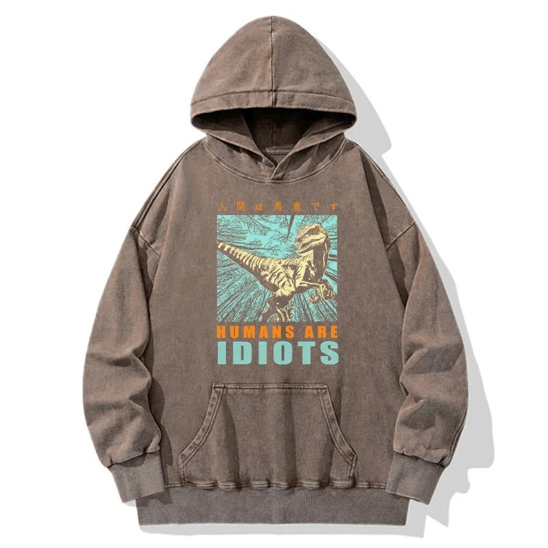 Mocking Dinosaurs Japanese Washed Hoodie