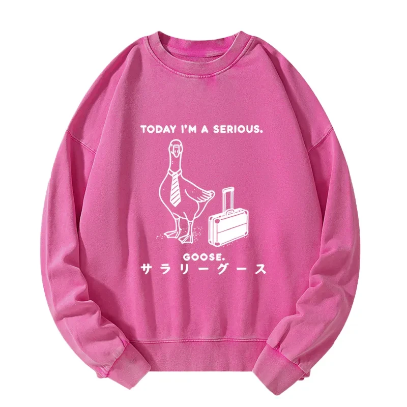 Hard Working Goose Washed Sweatshirt