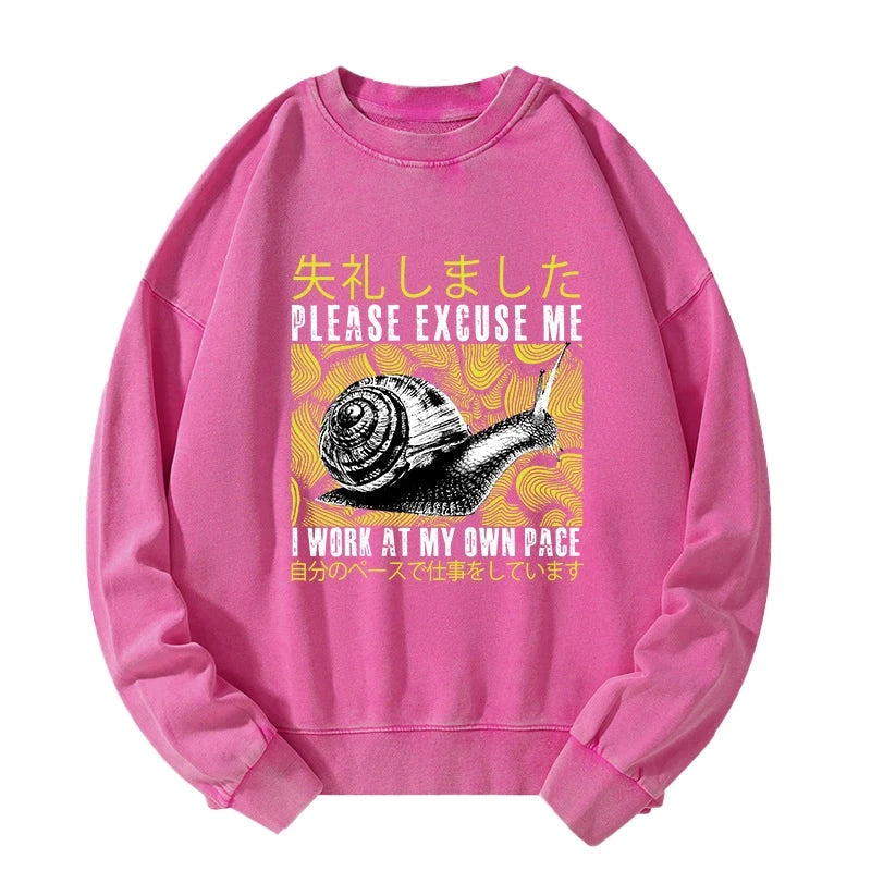 Snails That Work According To Their Own Rules Washed Sweatshirt