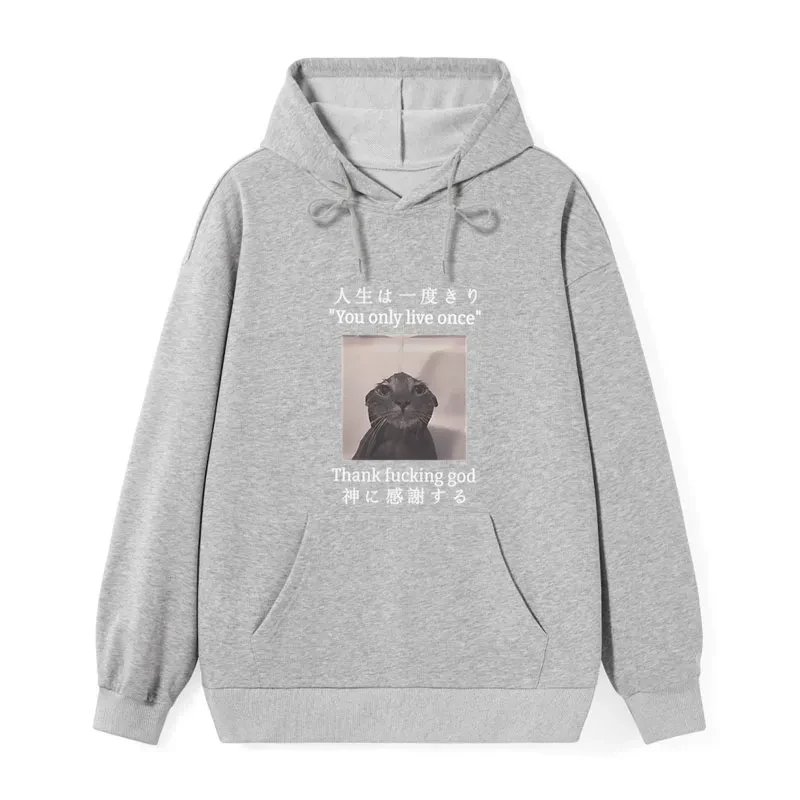 Funny Melancholy Cat Classic Hoodie