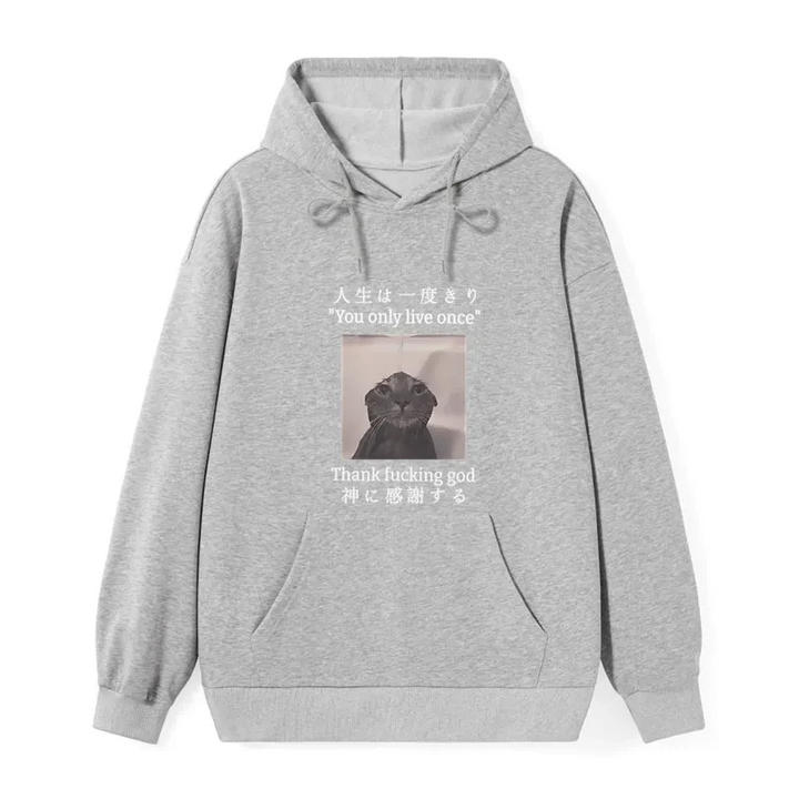 Funny Melancholy Cat Classic Hoodie