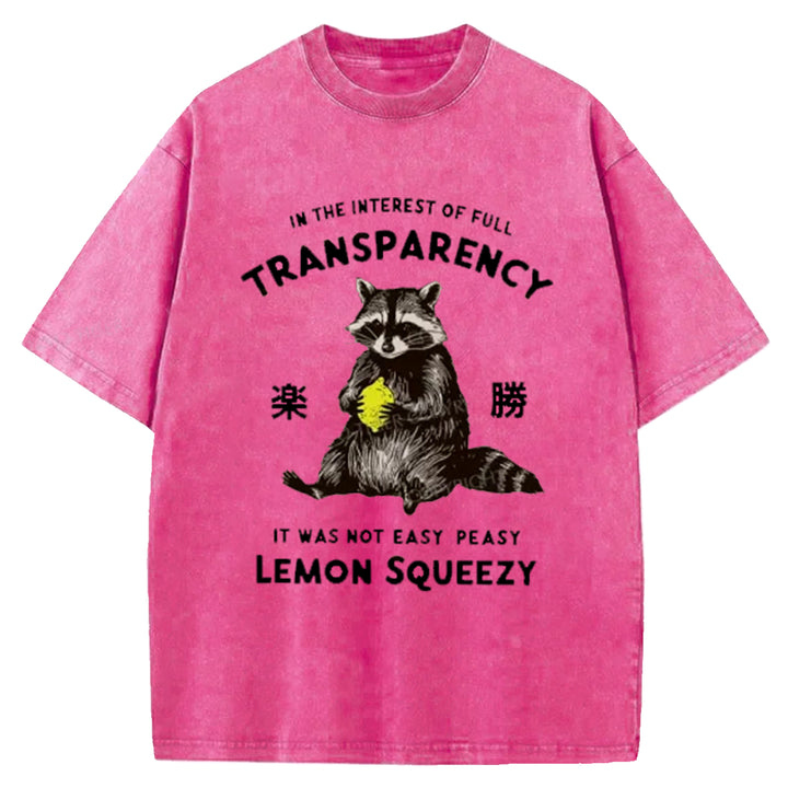 Raccoon Holding A Lemon Washed Crew Neck T-Shirt