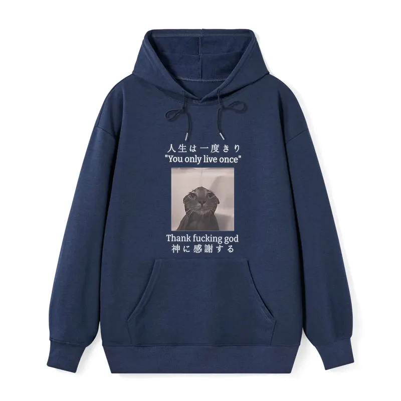 Funny Melancholy Cat Classic Hoodie