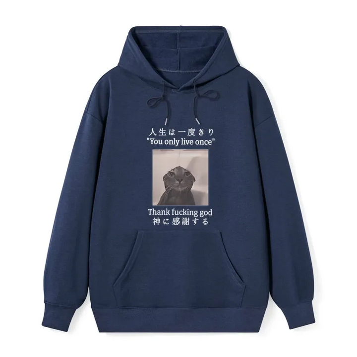 Funny Melancholy Cat Classic Hoodie
