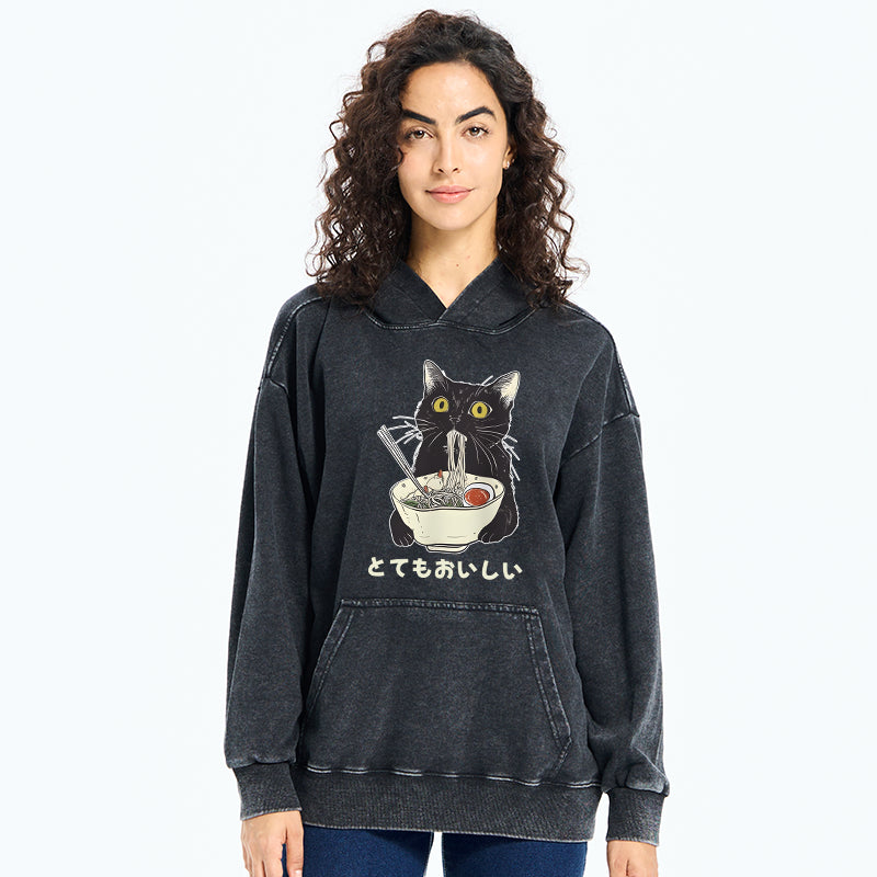 Cats Eat Ramen Noodles Washed Hoodie